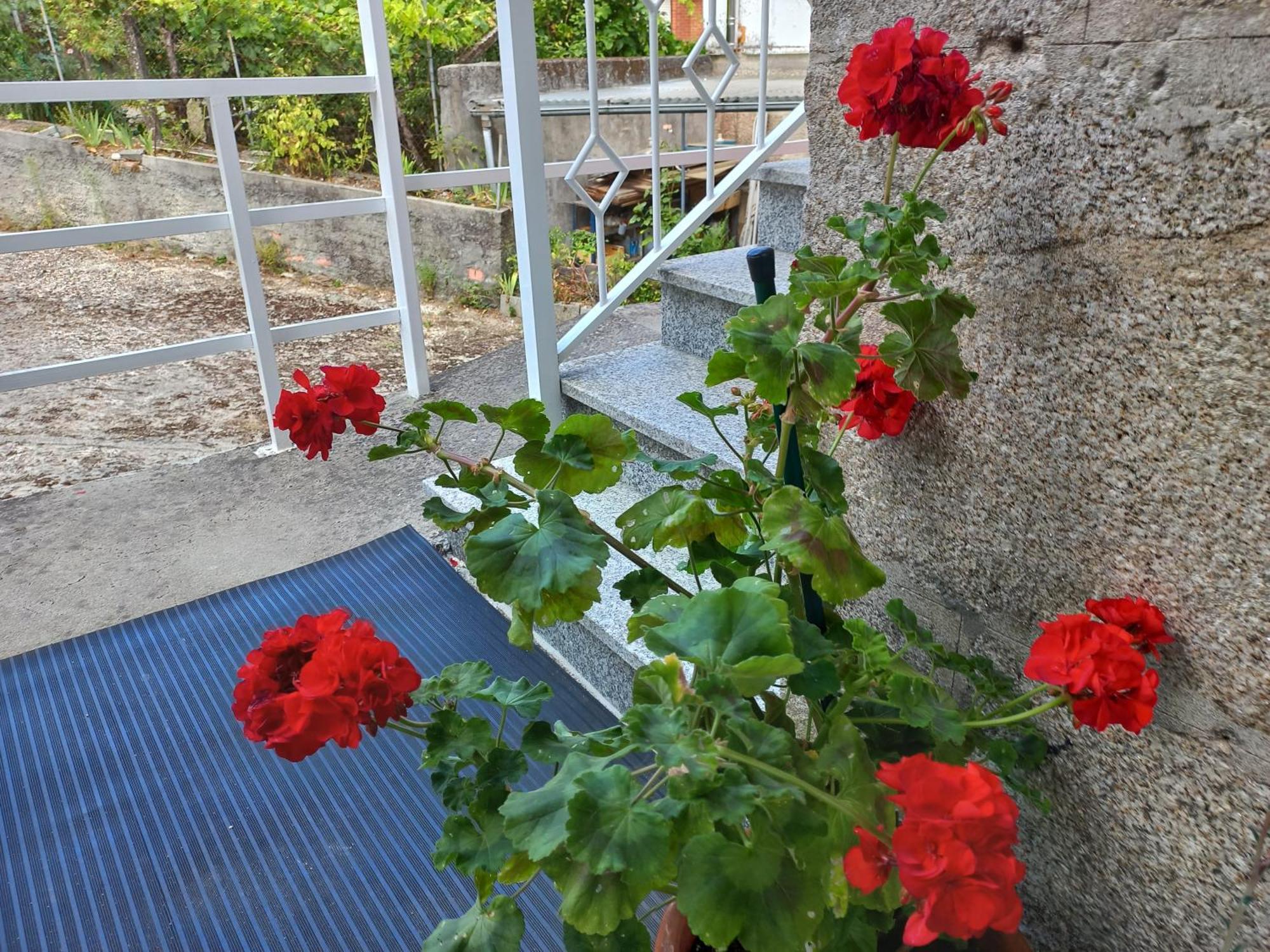קארבאינו Piso Villa Aurora מראה חיצוני תמונה